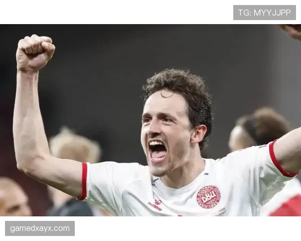 丹麦德莱尼门将